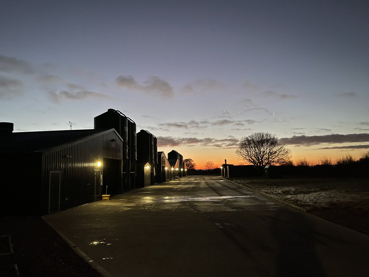 Elms__Farm's tweet image. 