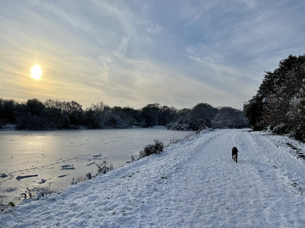 Jo Pertwee tweet media