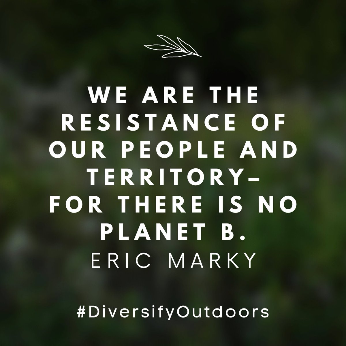 Social Media at Diversify Outdoors, LLC tweet media