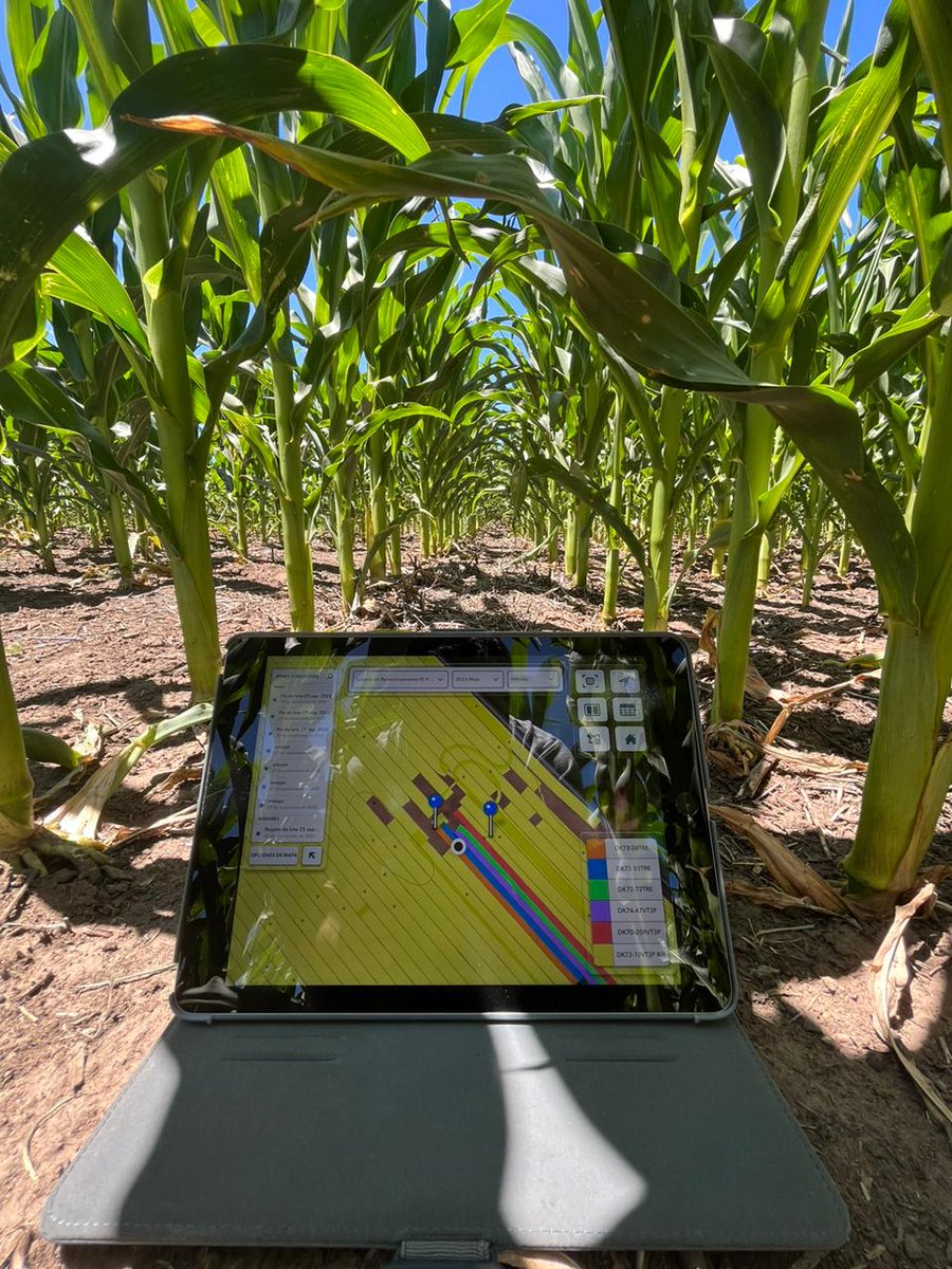 Joaquin del Rio tweet media