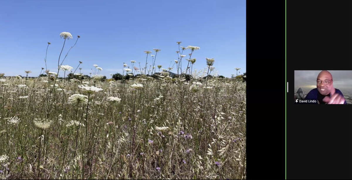 Bridget Bailey tweet media