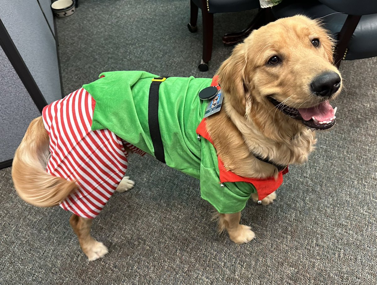 Looove going to school to be a happy little elf!