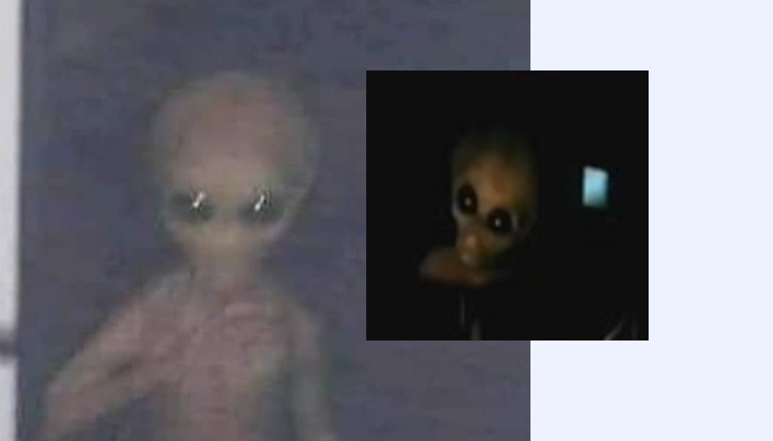 Rosemary (She/It) tweet media