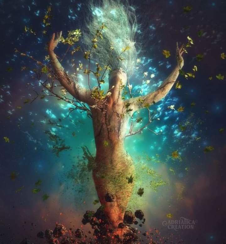 Abass Saadi (@saadiabass) on Twitter photo 