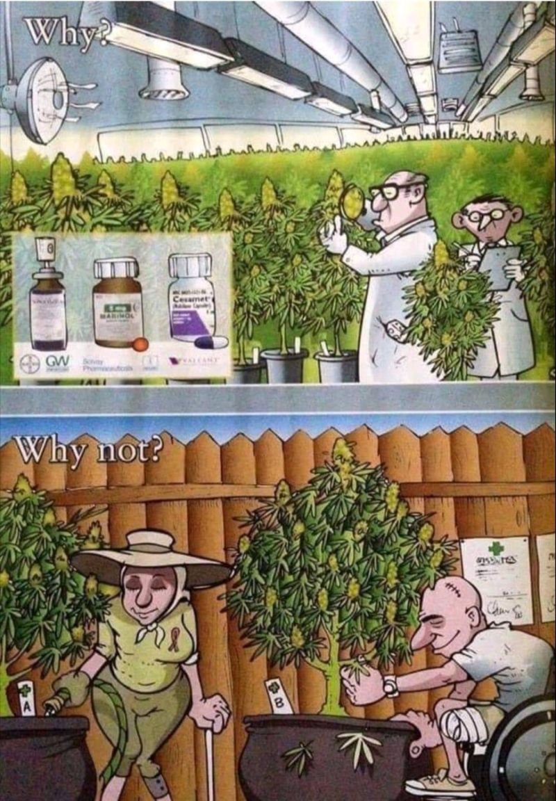 CannaWorld4 tweet picture