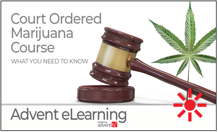 What to know when you must take a court ordered marijuana course
adventelearning.com/post/what-to-k…

#elearning #adventelearning #diversions #onlinediversion #prosecutor #alternativesentencing #defenseattorney #criminaljustice #marijuana #substanceabuse #substanceclass #drugcourse