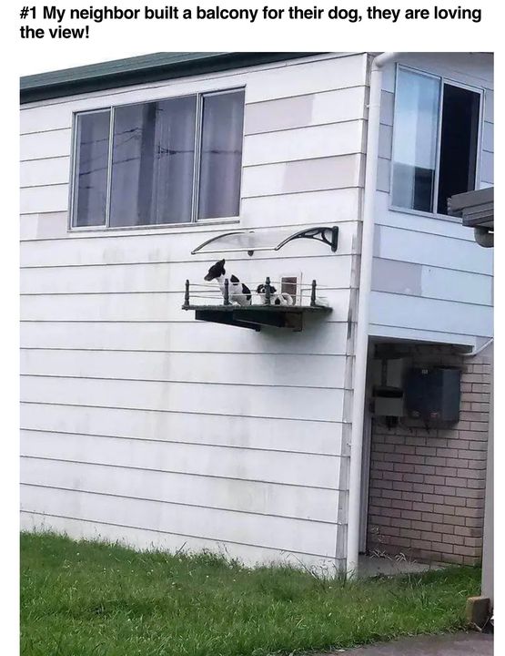 Tiffany L Rabb tweet media