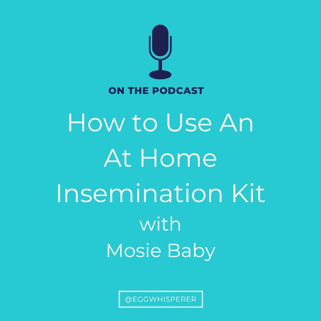 _EggWhisperer's tweet photo. I'm delighted to have Maureen Brown, co-founder of Mosie Baby joining me on the this week to talk about the home insemination kit that she and her husband designed after being faced with infertility. Tune in: https://t.co/Cie4F5ku2f
#ttc #athomeIUI #mosiebaby #eggwhisperershow https://t.co/b0I2hx6dvF