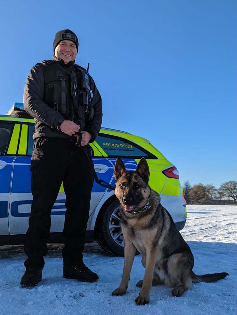 ChNWPoliceDogs's tweet photo. A huge congratulations to two new dog teams! 

PC Walker and PD Otto (L), and PC Spowage and PD Reggie (R) passed all of their licensing assessments this week and are now ready to hit the streets! 

#NewTeams #PDOtto #PDReggie https://t.co/rTu4y5HGrm