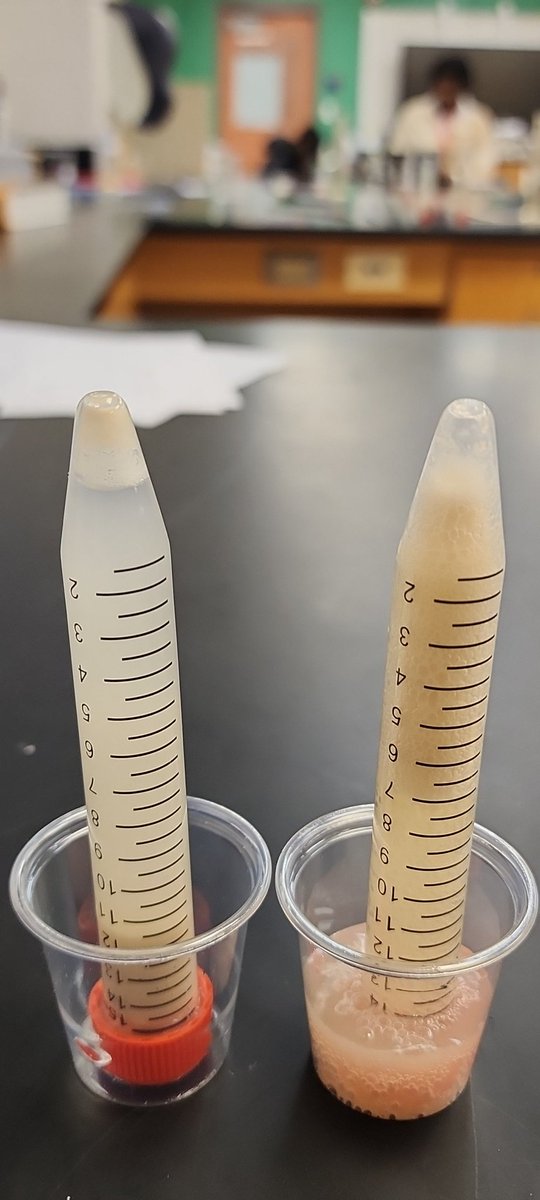 JDougansTeaches's tweet photo. 👀 at those bubbles! Yeast Respiration Lab #iTeachBio #iTeachAPBio https://t.co/cSfVUyDw1F