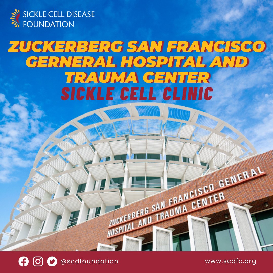 Sickle Cell Disease Foundation tweet media