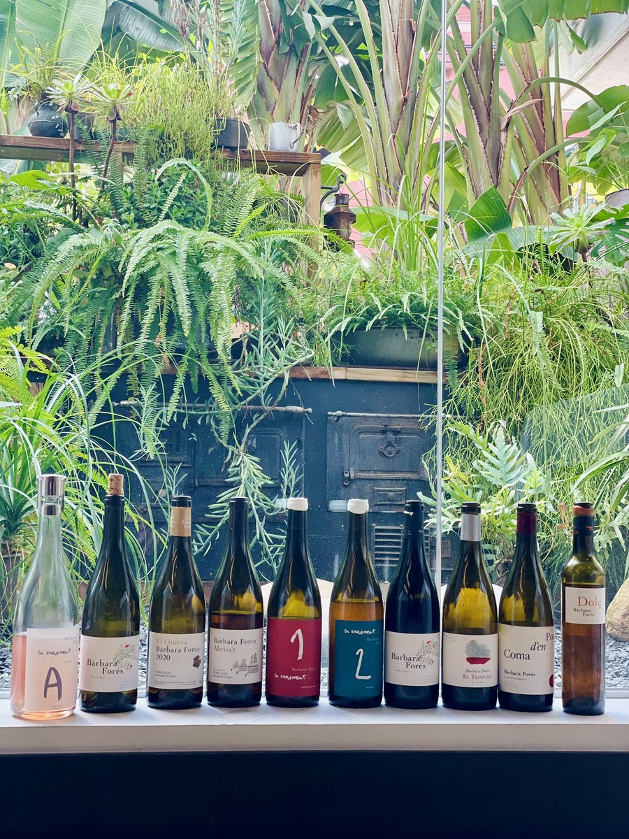 Celler Bàrbara Forés tweet media