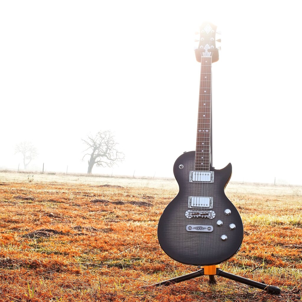 ZemaitisGuitars's tweet photo. Our SFW22 Charcoal Burst! Make this one an element of your tone!
.
.
.
#zemaitis #zemaitisguitars #guitarist #gearporn #art #guitar #guitars #music #musician #artist #singlecutaway #rock #rocknroll #metal #blues #punkrock #countrymusic #theelementsoftone #tone #pasoroblesca… https://t.co/9CUxi554jA