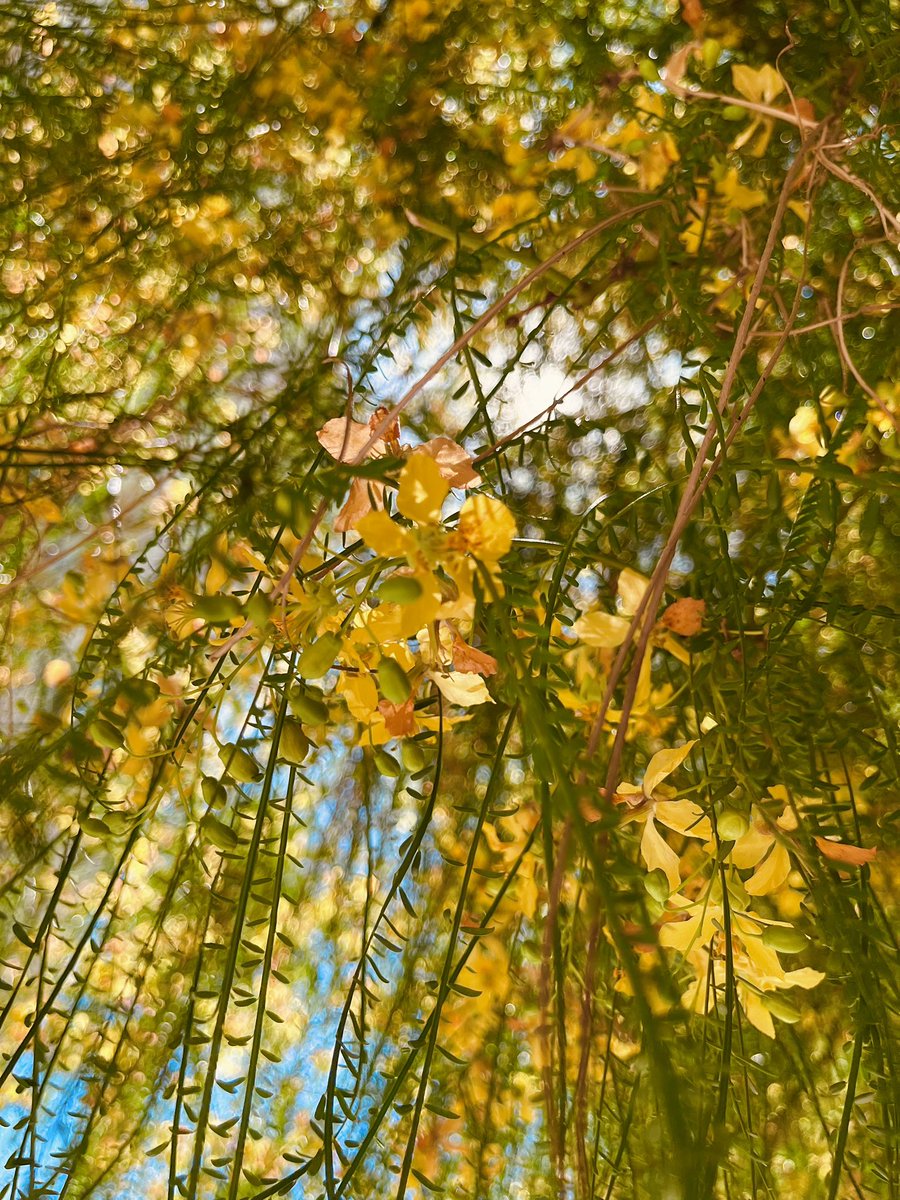 Una vieja y unas flores de ayer. Chin chin por 147 años más de fmed 🥂