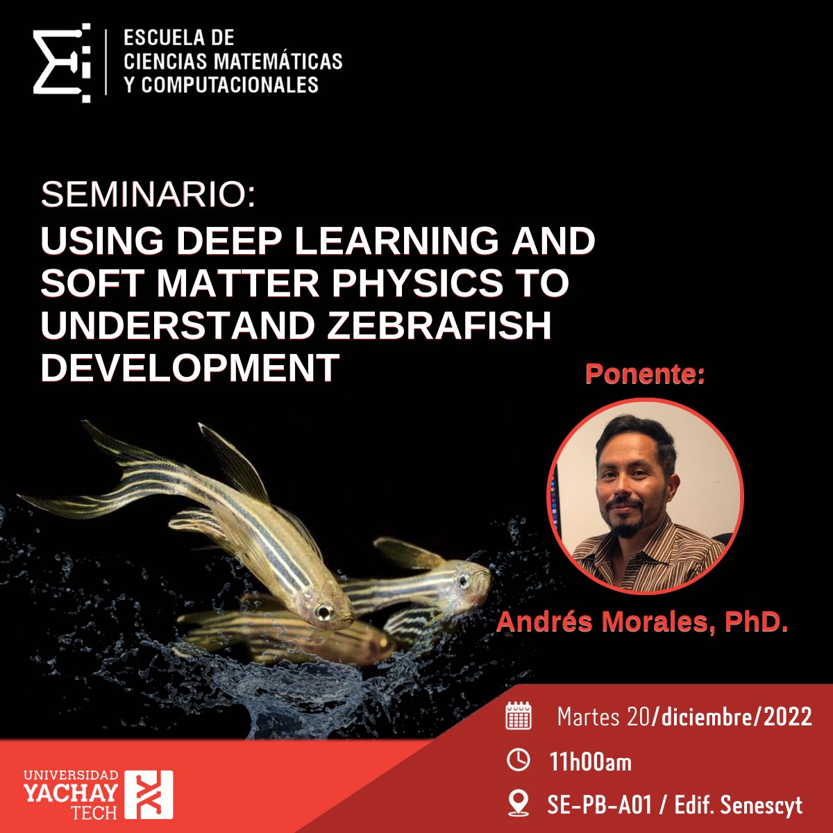MateCompYT's tweet photo. 🛑 La ECMC invita al seminario: “Using deep learning and soft matter physics to understand zebrafish development”, que se llevará a cabo el martes 20 diciembre a las 11h00.
Transmisión por: https://t.co/9fOBKse0c9
#SomosYachayTech #ciencia #investigacion #computacion #matematicas https://t.co/Ex3Hxzbxbb