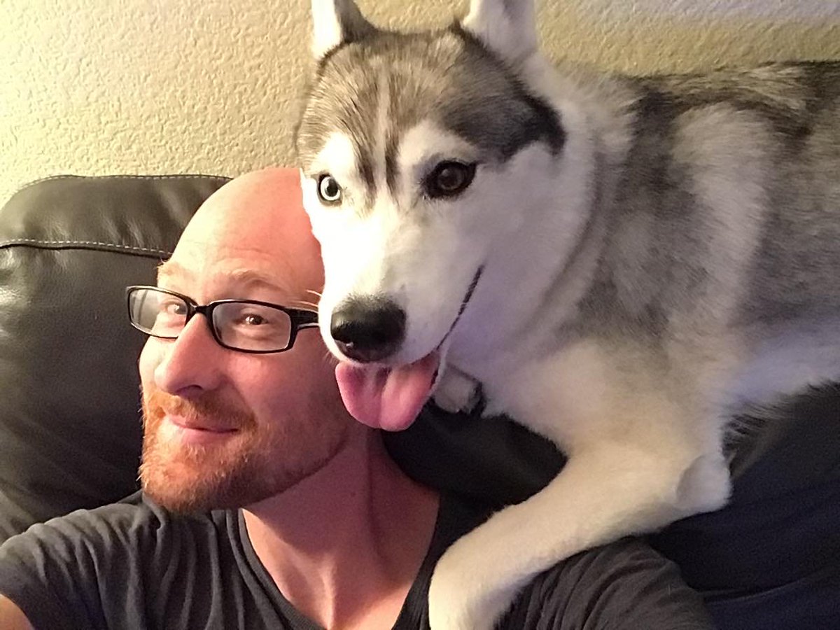 realjohnelder's tweet photo. When I'm not writing #code or shooting #coding videos, Aspen and I #chilax on the couch 🤣

#codemy #learntocode #coder #codelife #husky #huskylife https://t.co/WzQjg1juBN