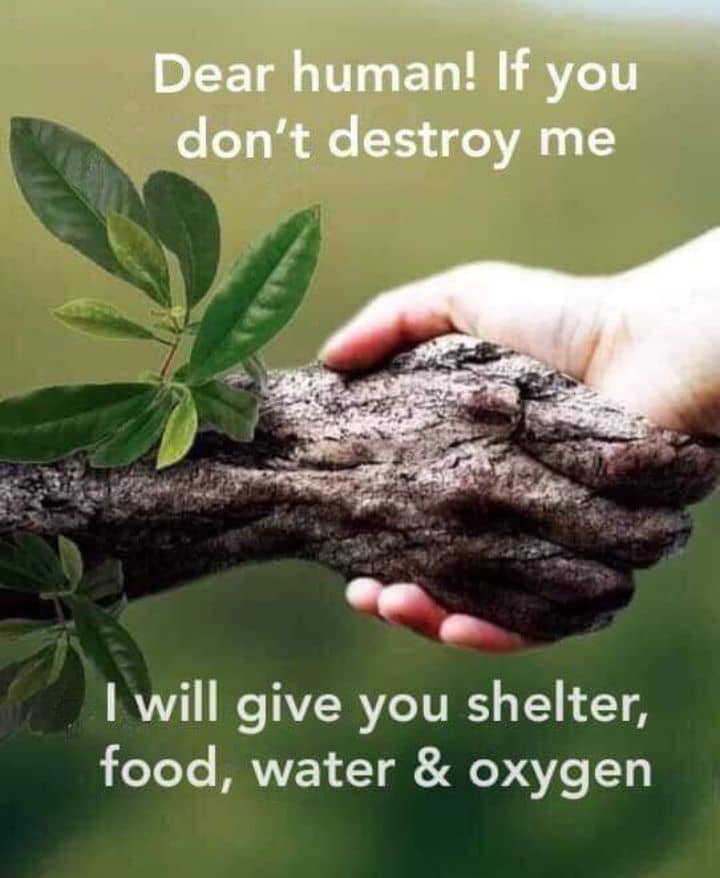 Save the Tree today so that the Tree can save you tomorrow. 
#Plant_more_trees
#Save_the_tree
#Protect_the_environment

Does this tweet make sense to you???  If yes, please Like and Retweet.

#Lets_farm_together