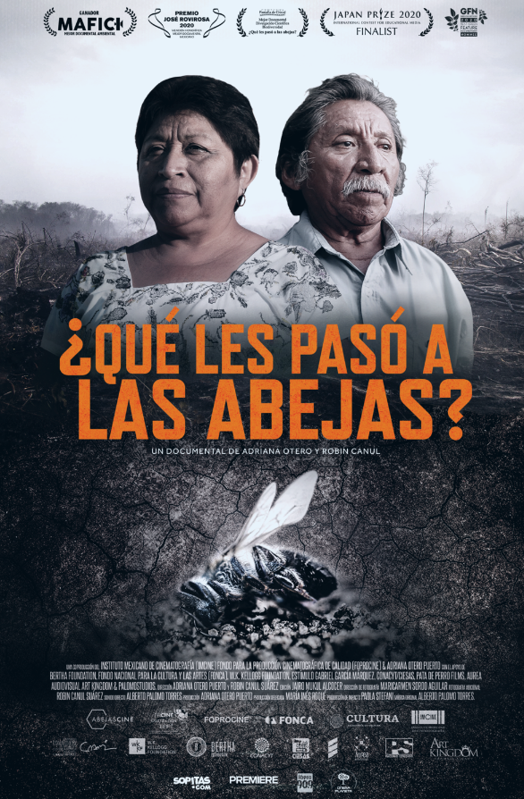 nuestrocinemx's tweet photo. #Top10enFilminLatino2022

1.‘¿Qué les pasó a las abejas?’, de Adriana Otero Puerto y Robin Canul Suárez

🐝https://t.co/iqIJfwOqlO https://t.co/98UTp16bt0