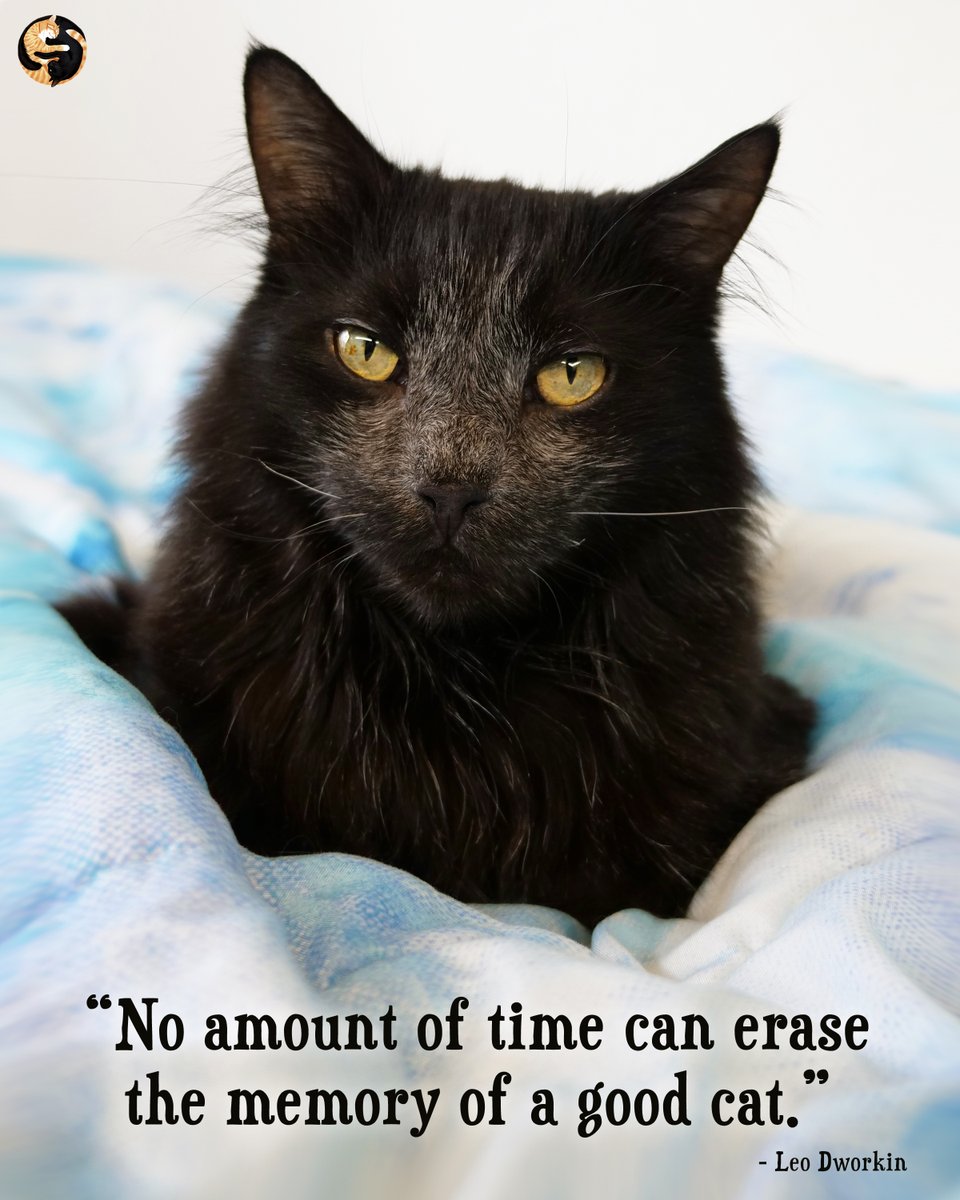 Cole & Marmalade tweet media