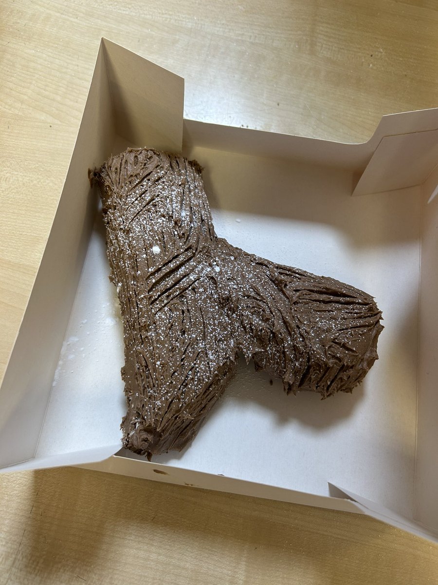 we promised some festive bakes were coming… and here we are. Our seniors made Yule Logs this week and we got creative with the presentation by making it into an actual log shape!🪵🎄#christmasiscoming