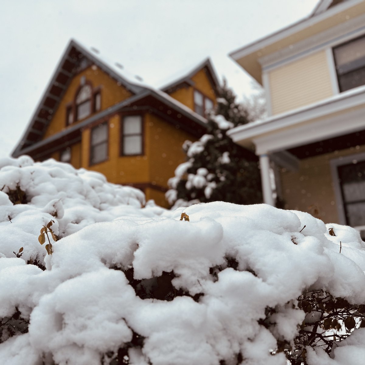 ojezap's tweet photo. My neighborhood sure is pretty this time of year. https://t.co/l1Ji6XpHjR