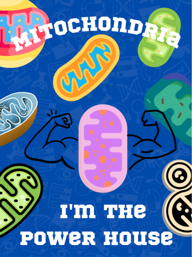 Powerhouse__1's tweet photo. Mitochondria>>>>anything else #voteformito https://t.co/odnVt3MOXQ