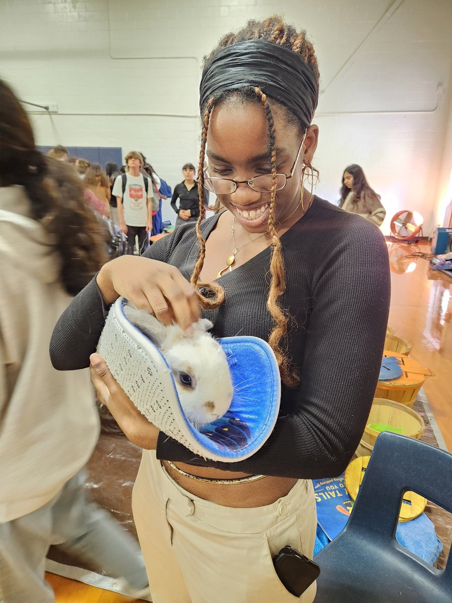 jessicherryATX's tweet photo. A little animal therapy courtesy of @TinyTailstoYou on the last regular day of class before finals! #LASAhighschool https://t.co/YRnsKHqb7A