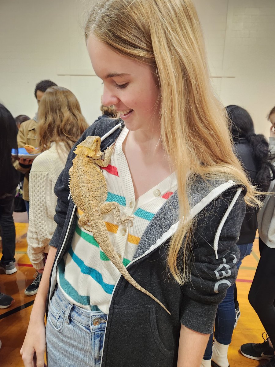 jessicherryATX's tweet photo. A little animal therapy courtesy of @TinyTailstoYou on the last regular day of class before finals! #LASAhighschool https://t.co/YRnsKHqb7A