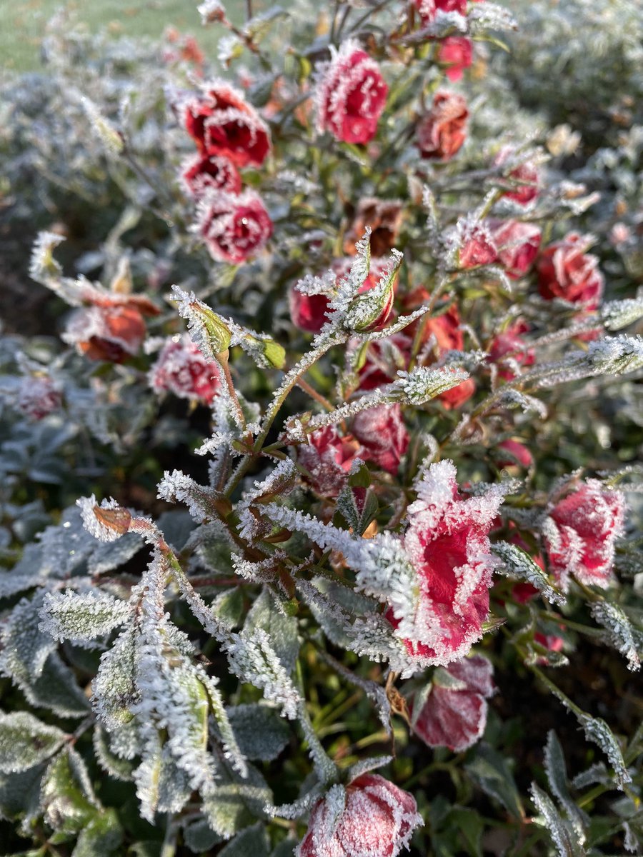 CompasAgro tweet media