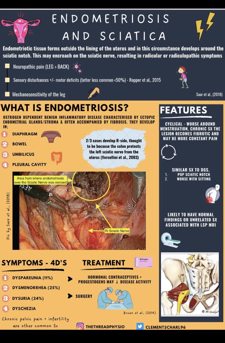 James Noake tweet media