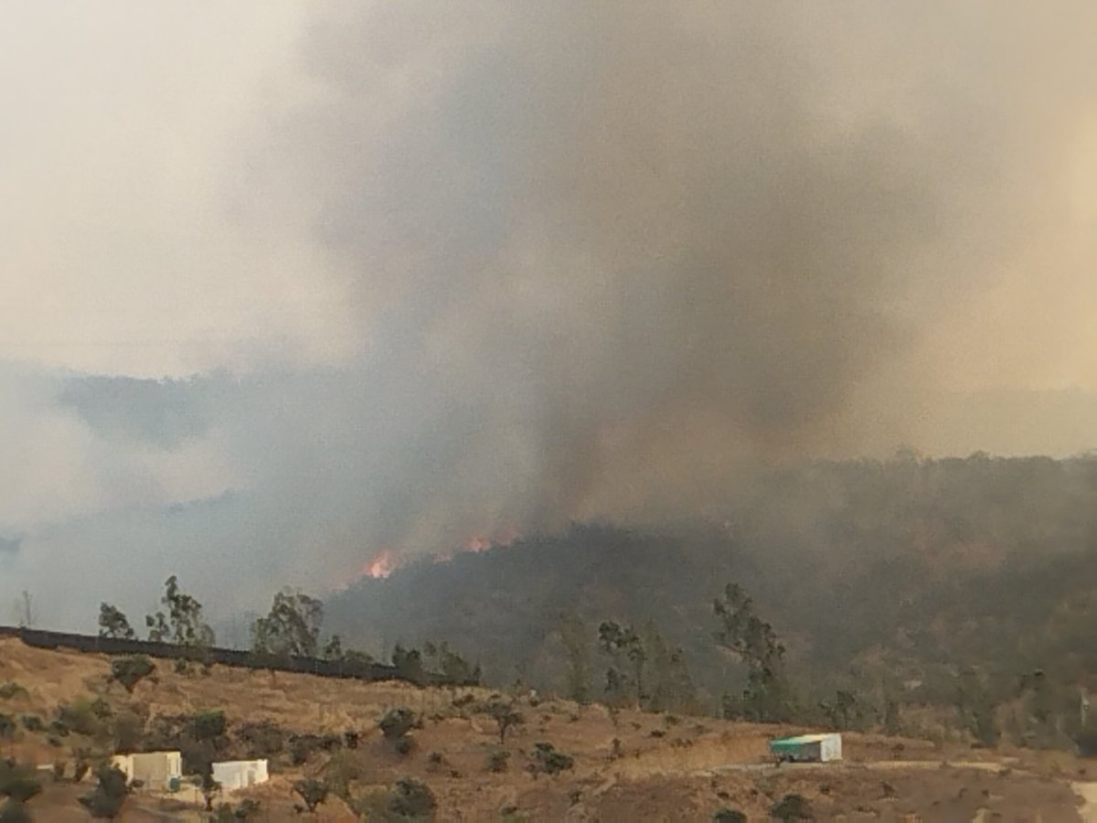 catitta21lu's tweet photo. Fuego descontrolado en haciendas de Limache. El viento no da tregua y cero aviones solo bomberos  @tv_mauricio @CEValparaiso @DigitalFmChile @biobio @Comercialbbvalp https://t.co/QBjsOQnvaC