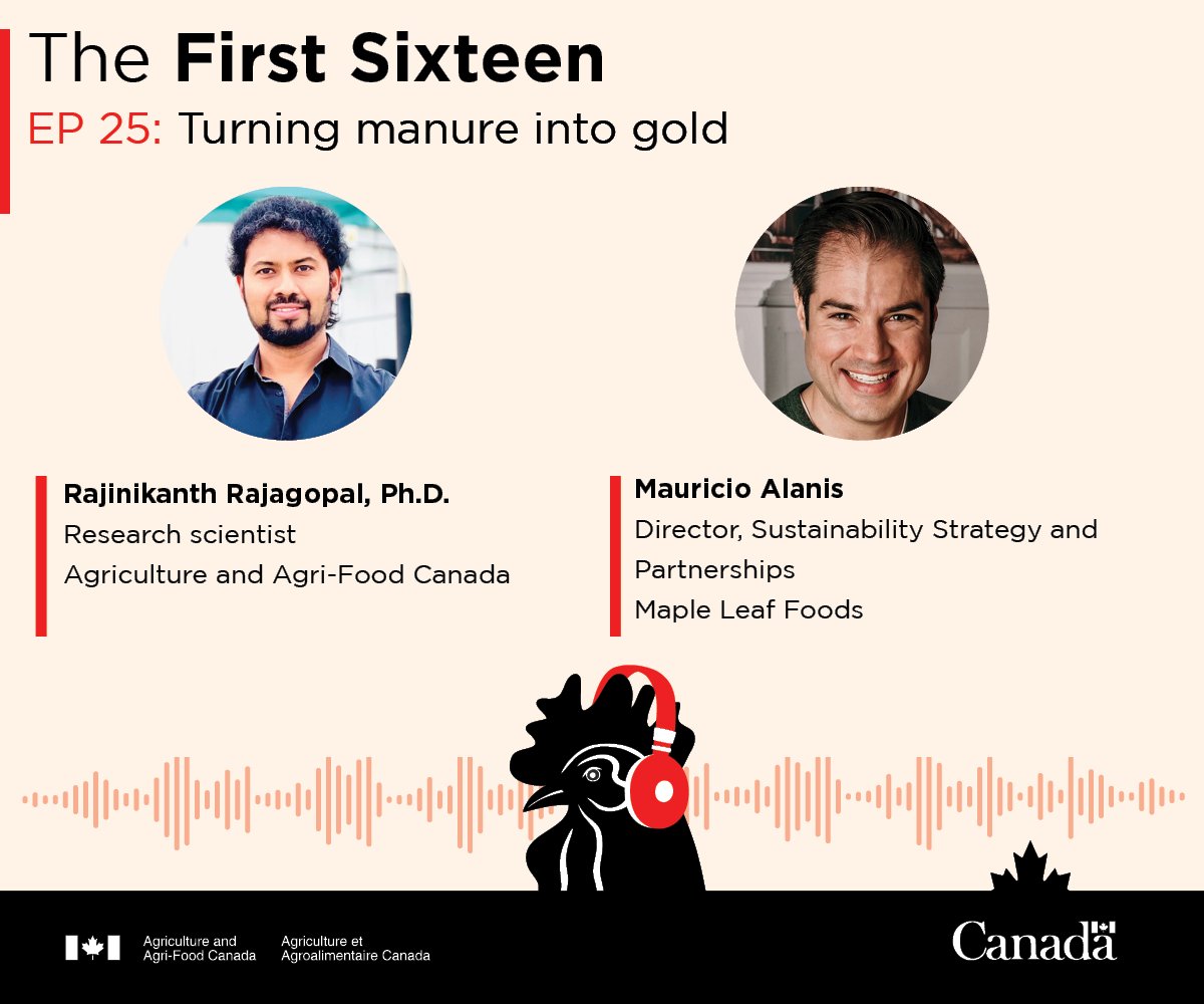 AAFC_Canada's tweet photo. What if we could turn manure into gold? 💩 Not actually, but the latest episode of our podcast #TheFirstSixteen explains how breaking down manure in biodigesters could be a boon for #CdnAg and the planet: https://t.co/hQmdzfkyco https://t.co/xkpErHhbai