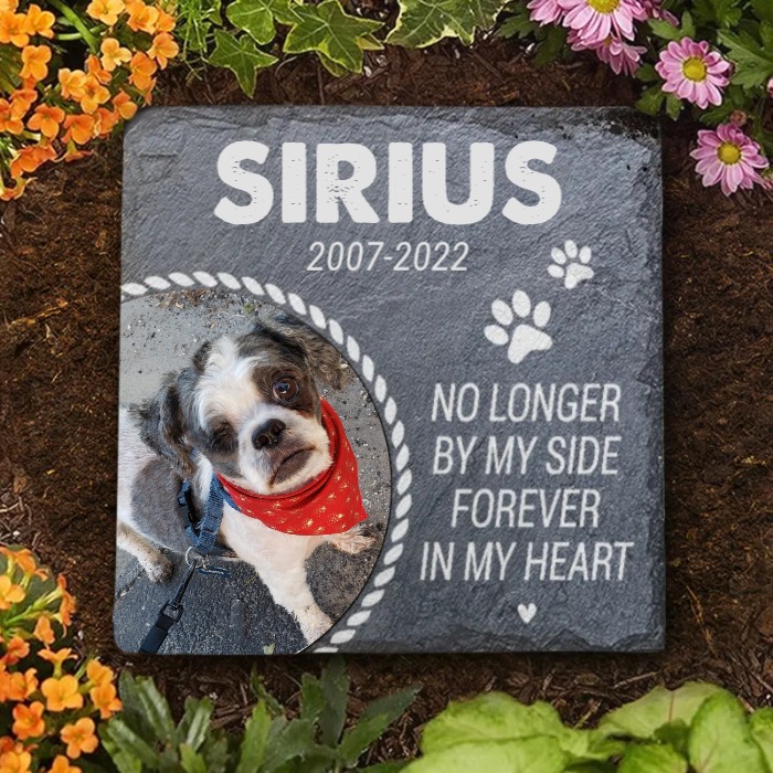 Harry...🌈 Lily & 🌈 Sirius tweet media