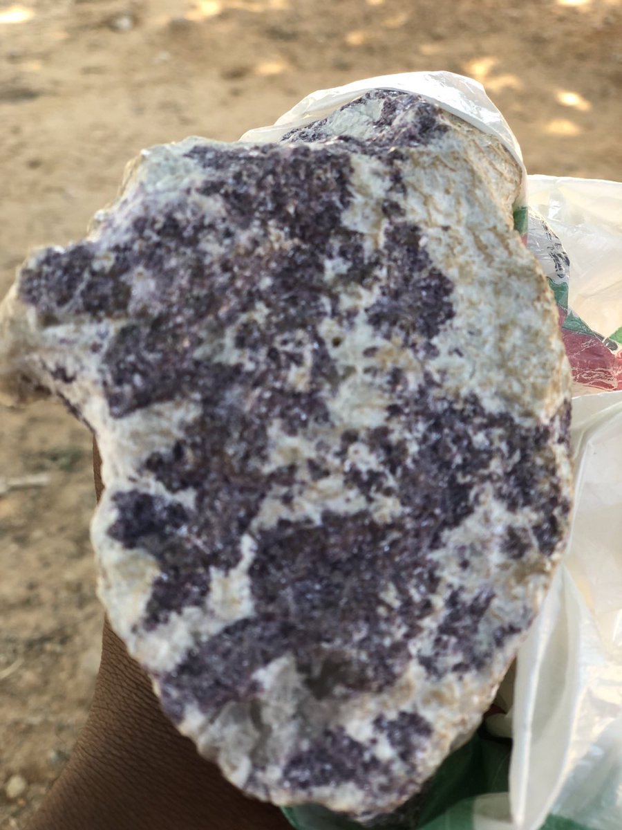 BequestTech's tweet image. Do you know what this is?