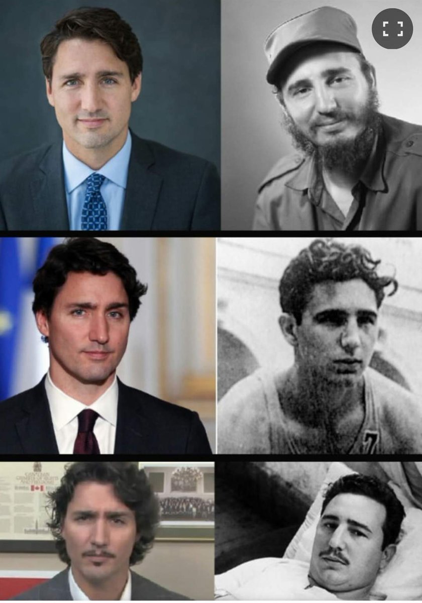 RodHollett's tweet photo. @JustinTrudeau Who's your Daddy https://t.co/PmjuLXia4W
