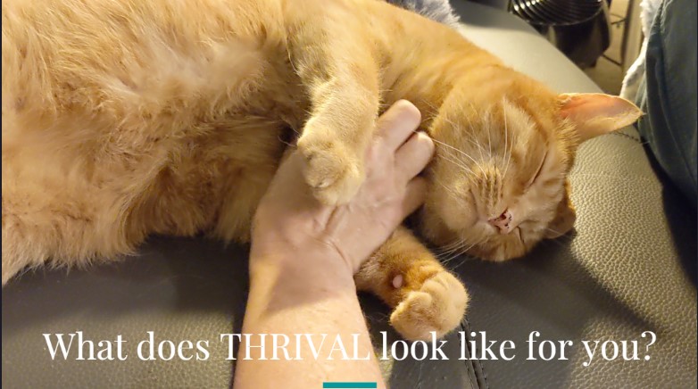 Thrive in 2023 with Befriending Dragons - eepurl.com/igitab