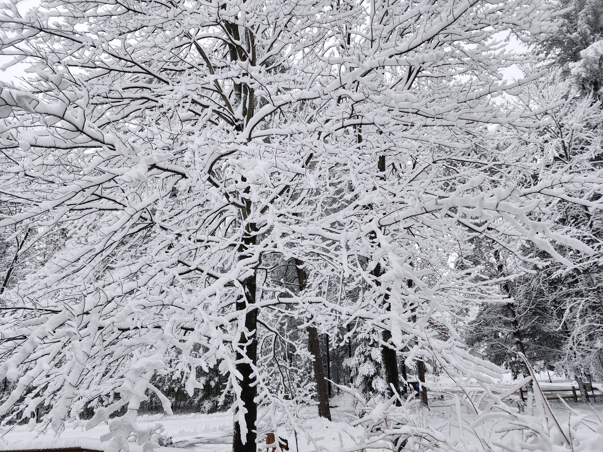 mslo_wins's tweet photo. Woke up to a winter wonderland this morning. #wiweather #wiwinter https://t.co/ailpRvY1Fd