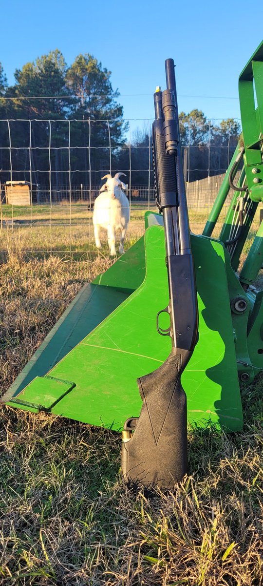 The FLASH-5 equipped Mossberg 500 is a great predator deterrent on the ranch!