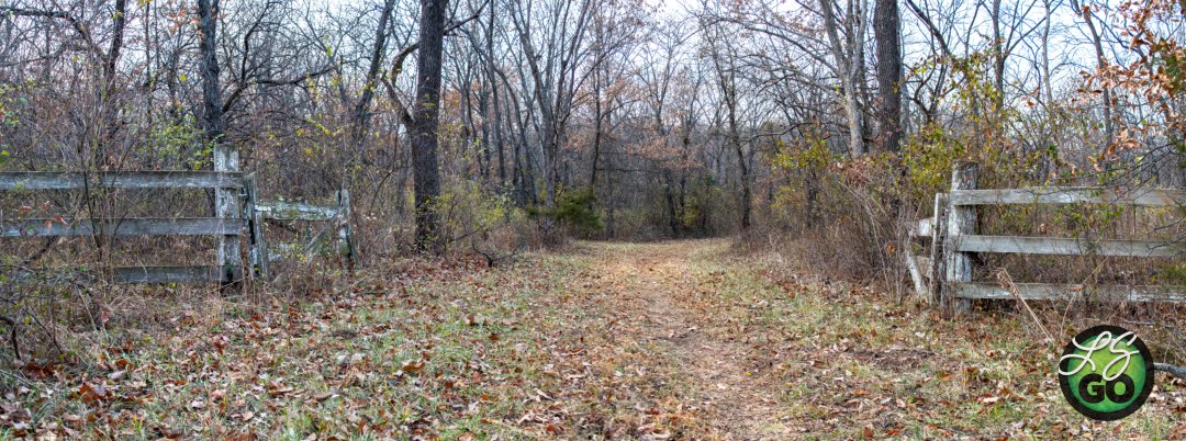 leessummitgo's tweet image. Winter woods on the Longview Lake Horse/Hike Trail. More at Lee&apos;s Summit Go: leessummitgo.com/hikes/longview…