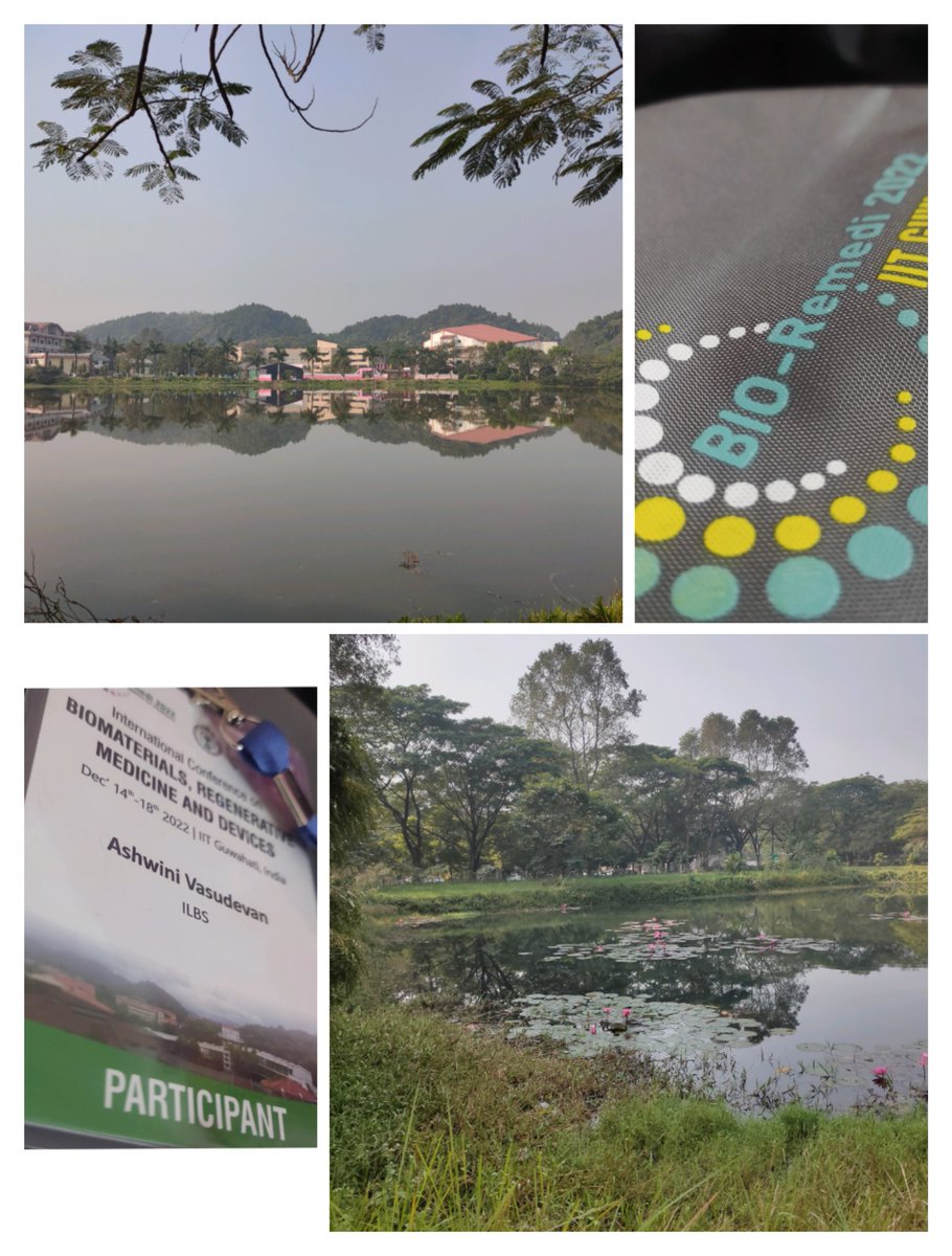 Ash_wineee's tweet photo. @IITGuwahati ...Kick-starting⏳ #BioRemedi2022. Happy to be a part of this huge platform ✨ https://t.co/Zw6dR7mgIq