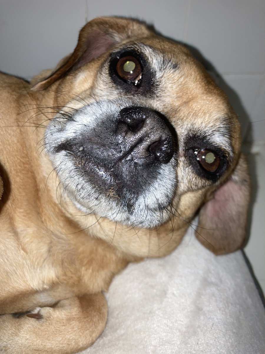 Spencer Baldwin (@spencer43020581) on Twitter photo 