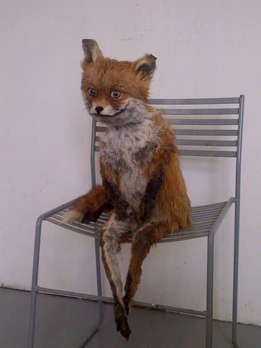 moisdum's tweet photo. looked at the sza tickets knowing damn well i couldn’t afford it in the first place https://t.co/qh4w5b8Hc0
