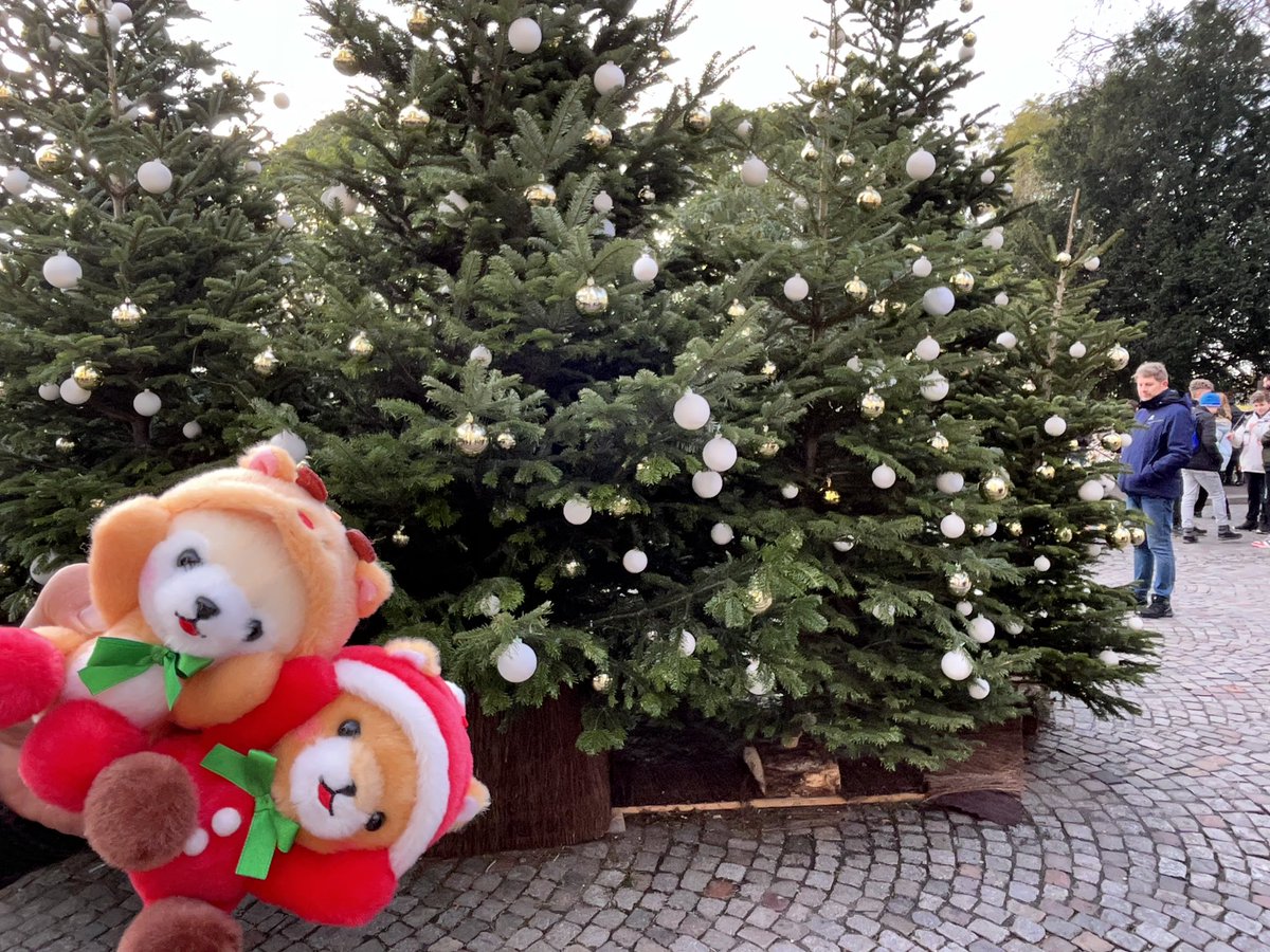 FuwaRin_sup's tweet photo. @coinciana @Rin_nft_ おフランスで浮かれてた子達と、ホテルでお留守番し��いた子も一応……😂 https://t.co/BqvfAGNMf6