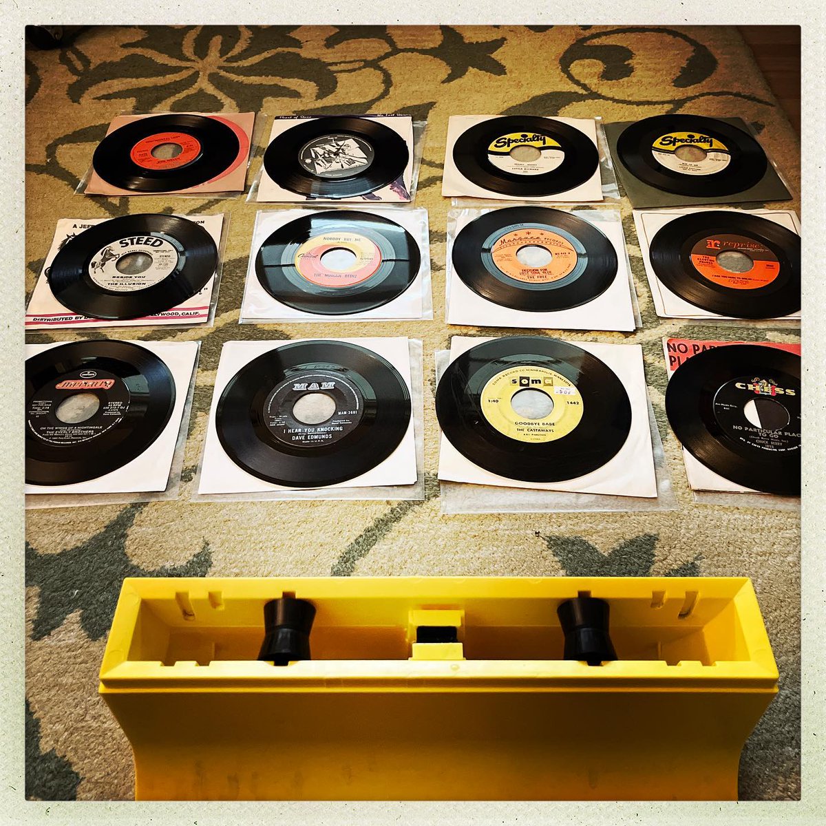 BonomoJoe's tweet photo. Gotta keep the cats out of the room when I’m cleaning records. They insist on supervising. I don’t need the help. #vinyl #spinclean #CatsOfTwitter #CatsOnTwitter https://t.co/3jmRn13U9D
