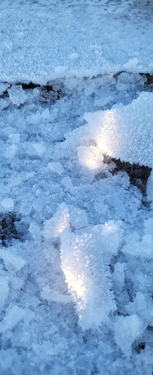 Mid Lancs Colts JFL tweet media