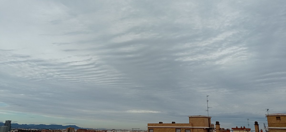 13marcarrascosa's tweet photo. Las nubes de ayer miércoles 14-12-2022 en #Valencia me recordaron a la arena de la playa en los días de fuerte viento.
Foto tomada desde #ZonaITVCampanar
#SinFiltros #SinRetoques #ConMovil
@apuntoratge @GuillerCil @javioru @Pauquechu @AnitaTrilita https://t.co/pO0a8BwJzH