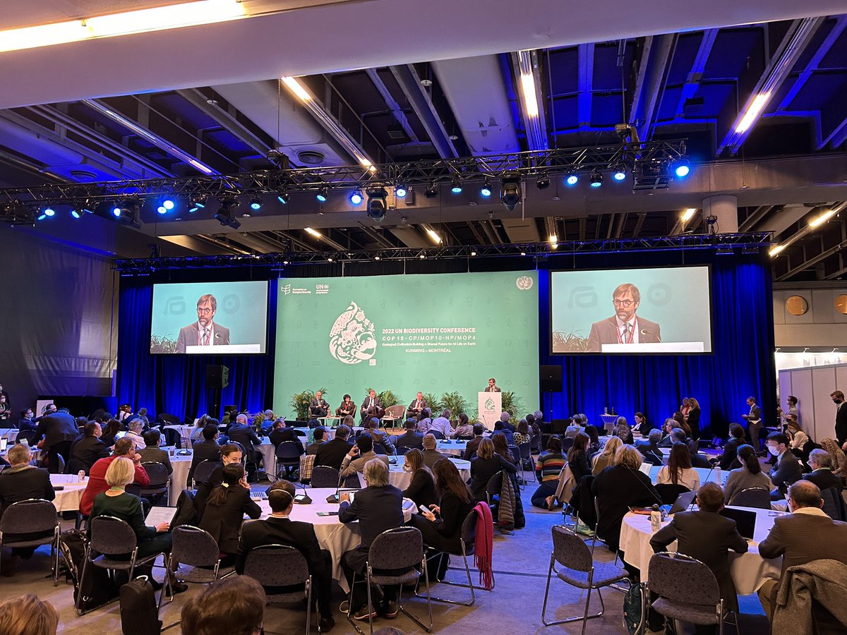 amandareed27's tweet photo. Now at #COP15 donor countries like CANADA making financial commitments to support countries that need assistance in meeting ambitious #biodiversity goals. Is this goodwill enough to get to a #globalbiodiversityframework that meets @natureunited_ca’s scorecard for success? #TBD https://t.co/D5Y9vrYsOF