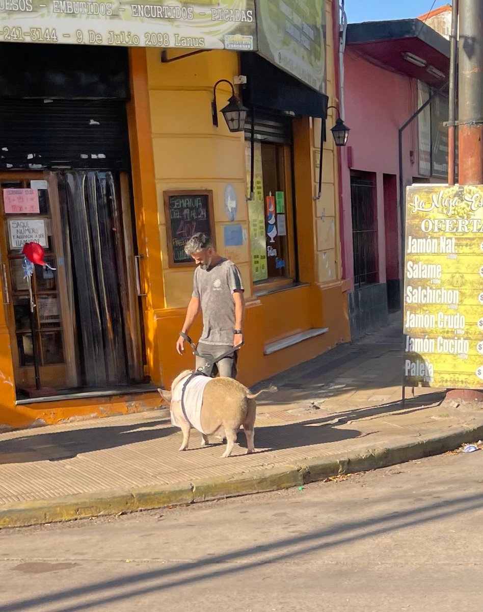 Descripción gráfica del cornubano