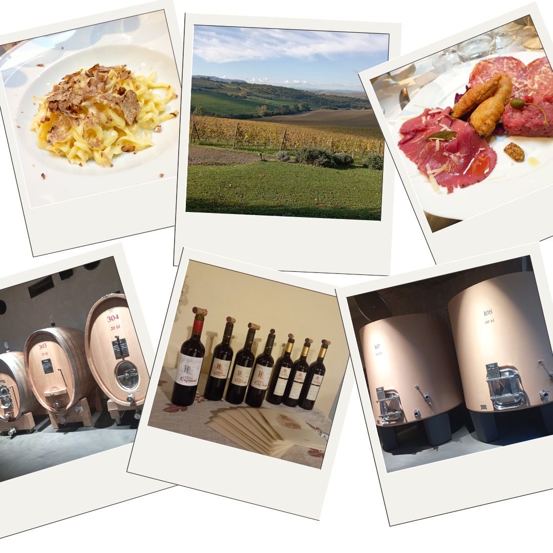 #masterclass #sangiovese #enologia #tartufo