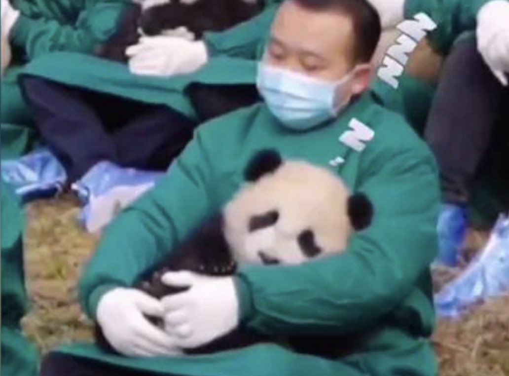 How do I get this job? news18.com/amp/news/buzz/…